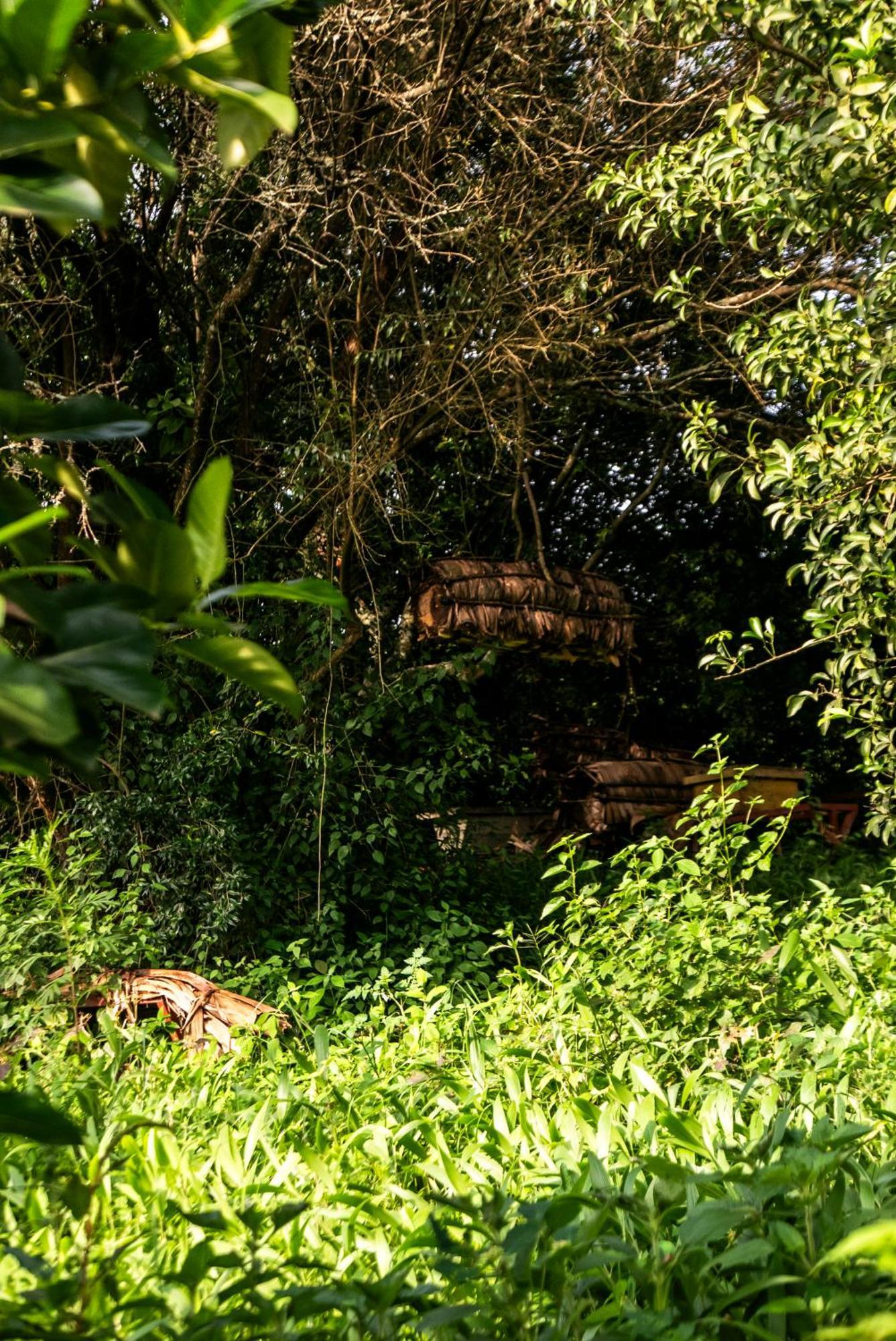Akagera Transit Lodge Zewnętrze zdjęcie